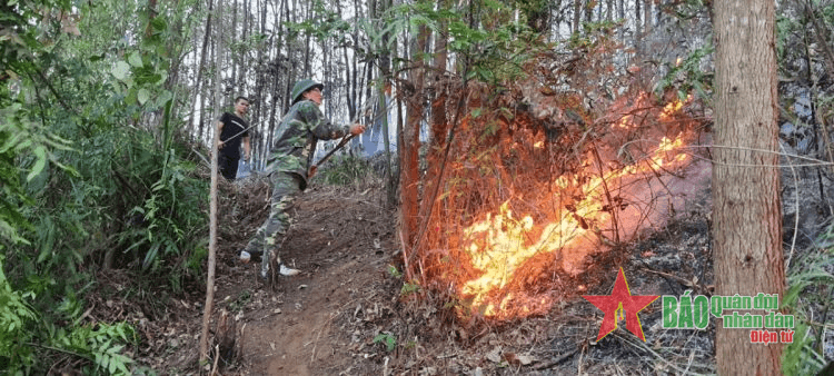Lực lượng vũ trang tỉnh Phú Thọ kịp thời chữa cháy rừng