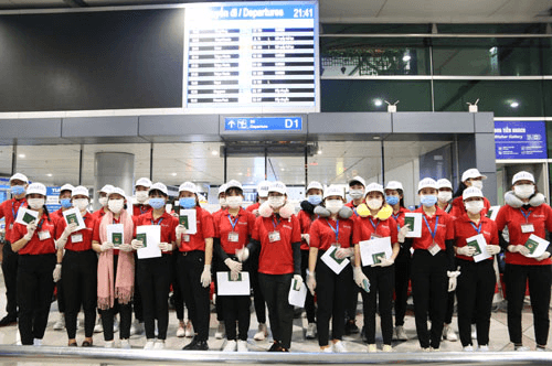 Hàn Quốc mở lại kênh tiếp nhận lao động thời vụ từ Việt Nam