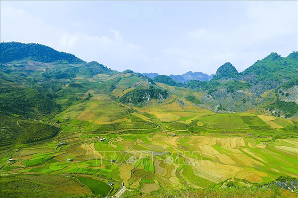 Tấm lòng cựu chiến binh