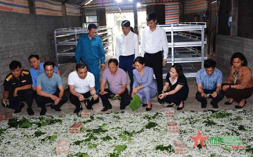Nhiều băn khoăn, trăn trở