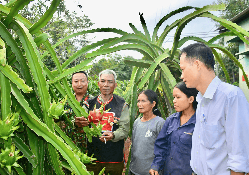 Làm theo lời Bác, giúp dân làm giàu trên vùng đất khó