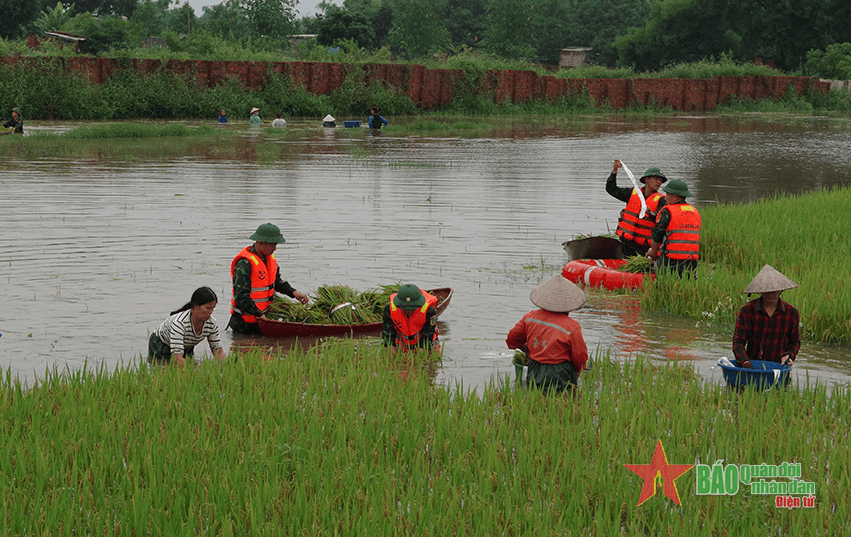 Thắm tình bộ đội Lữ đoàn Công binh 249