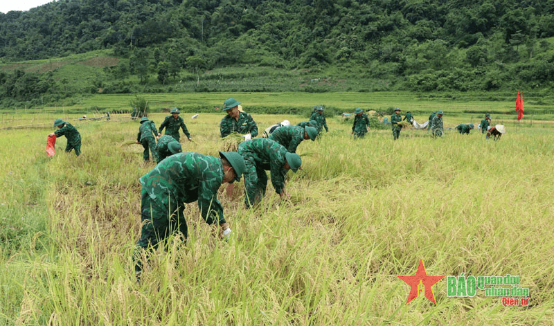 Sẵn sàng lực lượng, phương tiện ứng phó và khắc phục hậu quả thiên tai