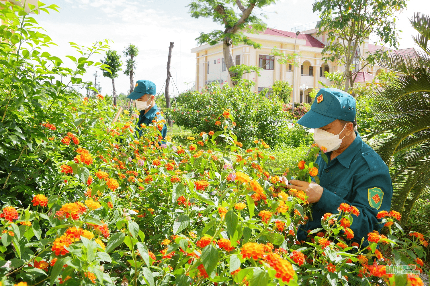 Doanh trại xanh giữa lòng thành phố