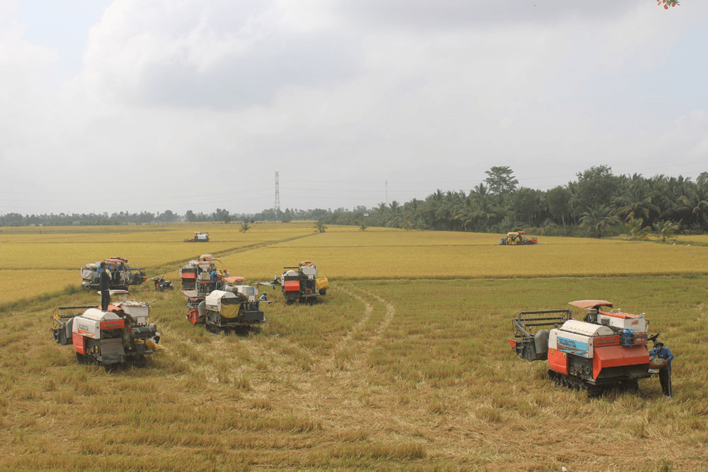 Sức bật từ Nghị quyết 26 ở Trà Vinh