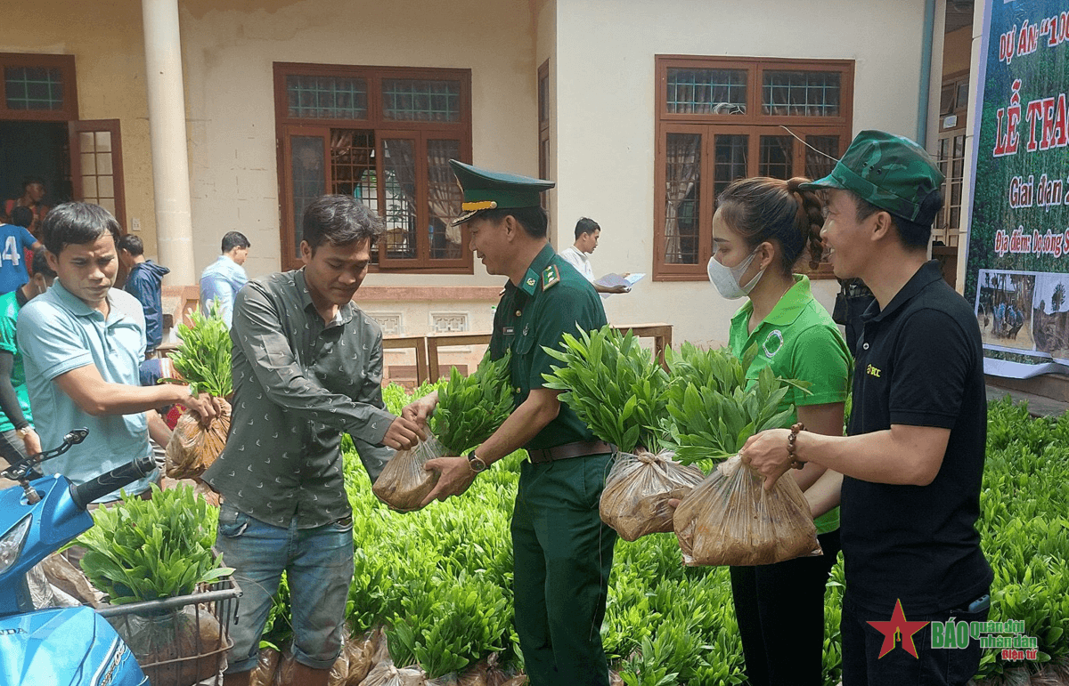 Đồn trưởng Khôi và ước mơ “gia cố” đường biên giới trên sông bằng… cây xanh