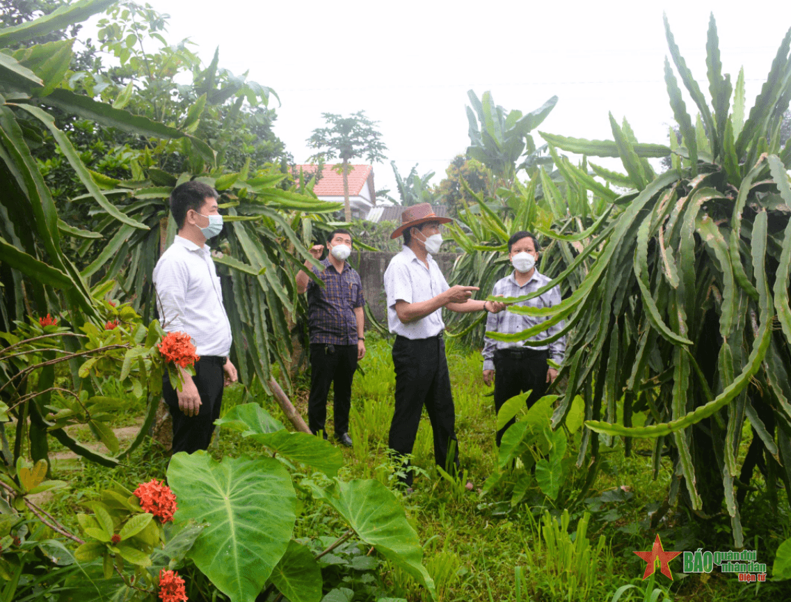 Bài 2: Nhân dân chung sức, đồng lòng