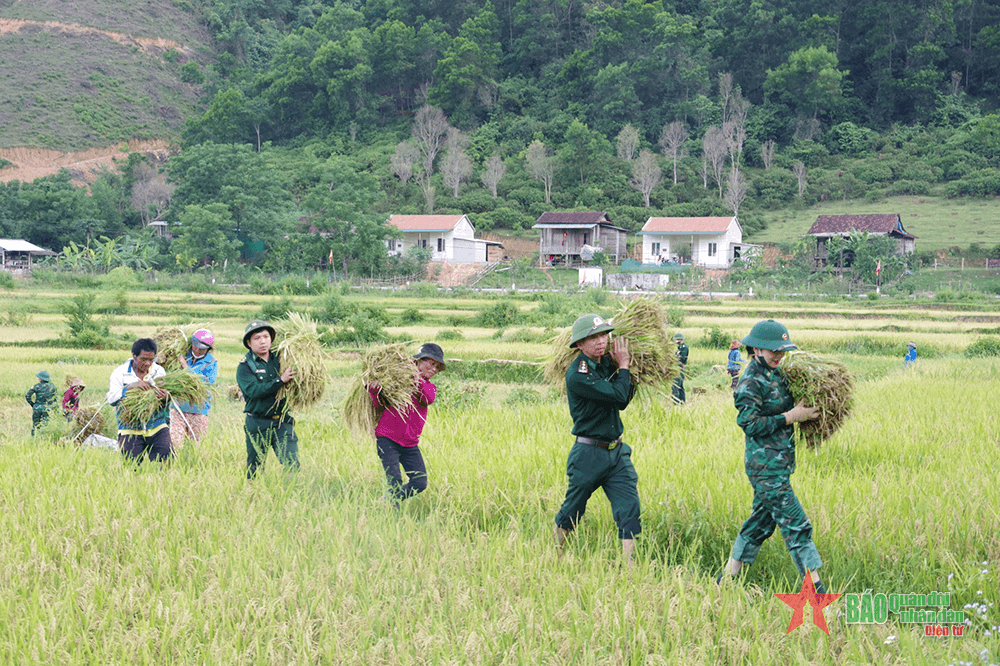 Mùa vàng ở bản Rào Tre