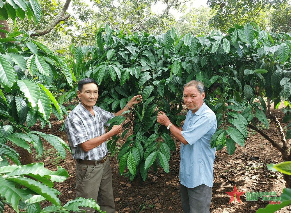 Cựu chiến binh gương mẫu, nhân ái