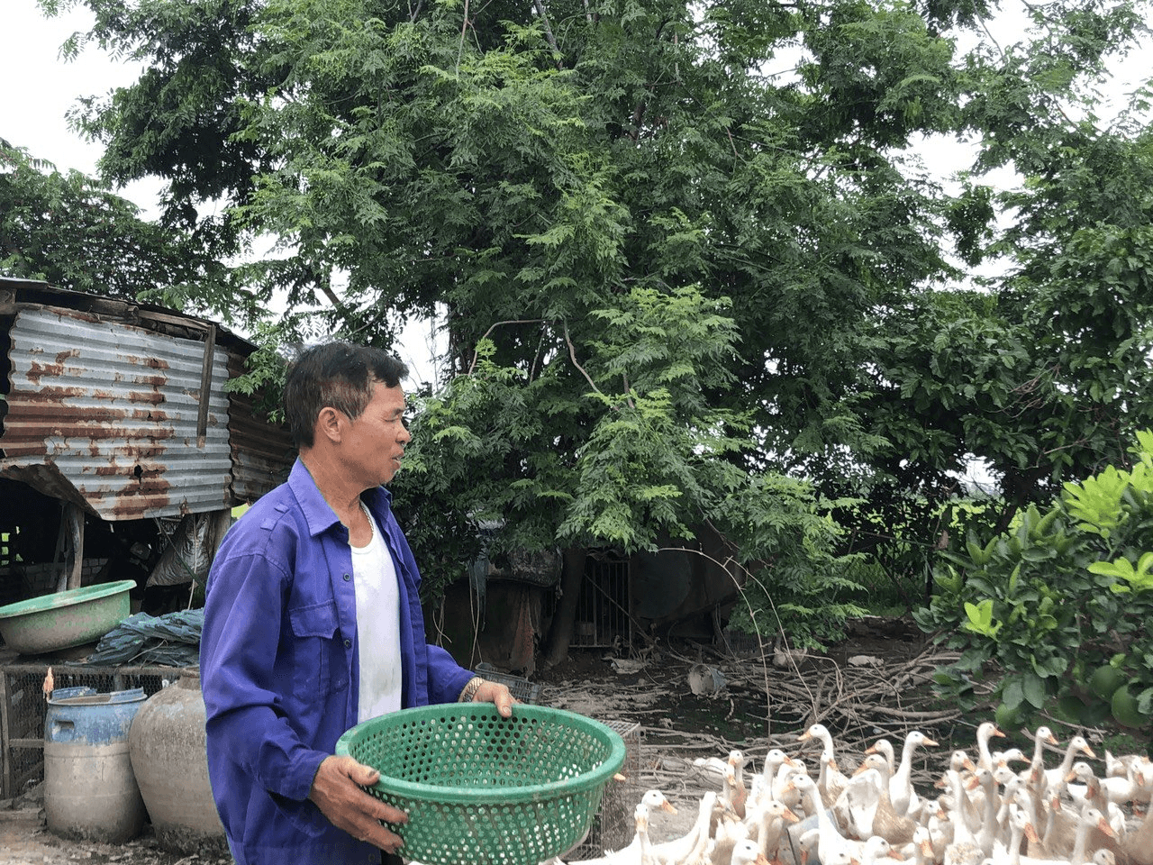 Tấm lòng vàng của ông Vàng