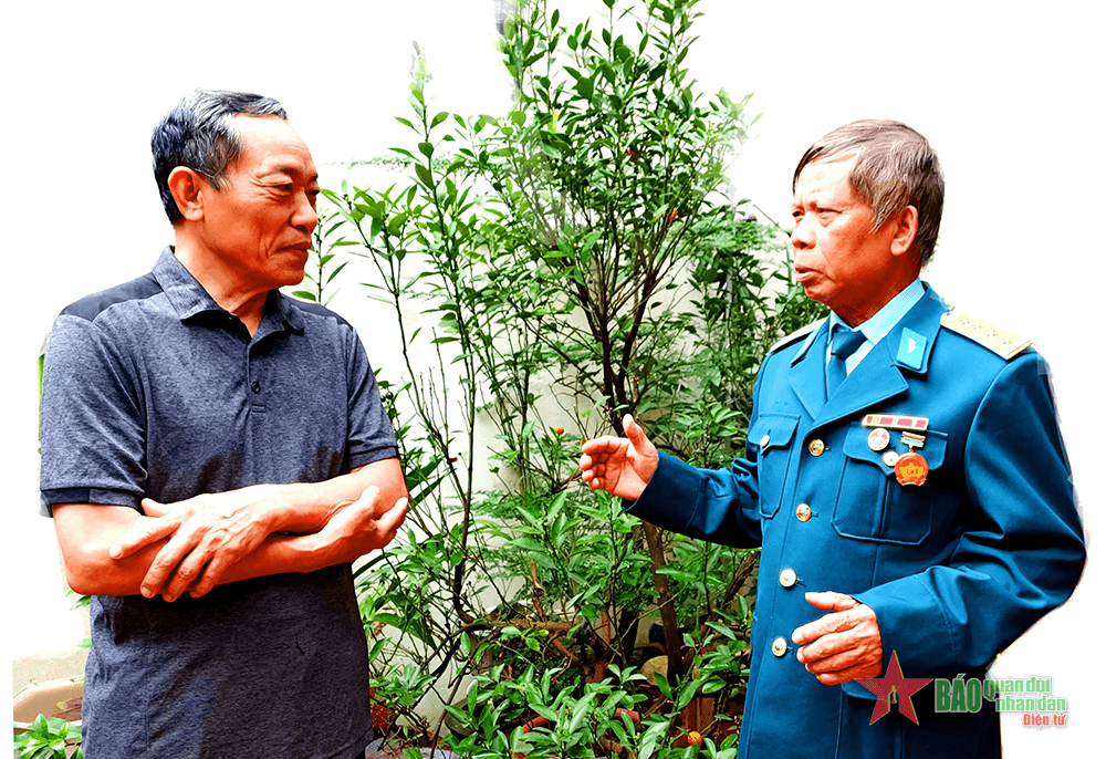 Tấm giấy cứu nguy