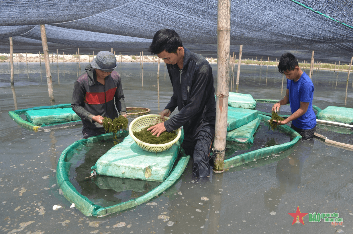 Kết nối vùng kinh tế trọng điểm miền Trung còn rời rạc, kém hiệu quả