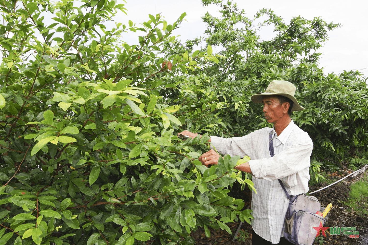 Thoát nghèo từ nguồn vốn tín dụng chính sách