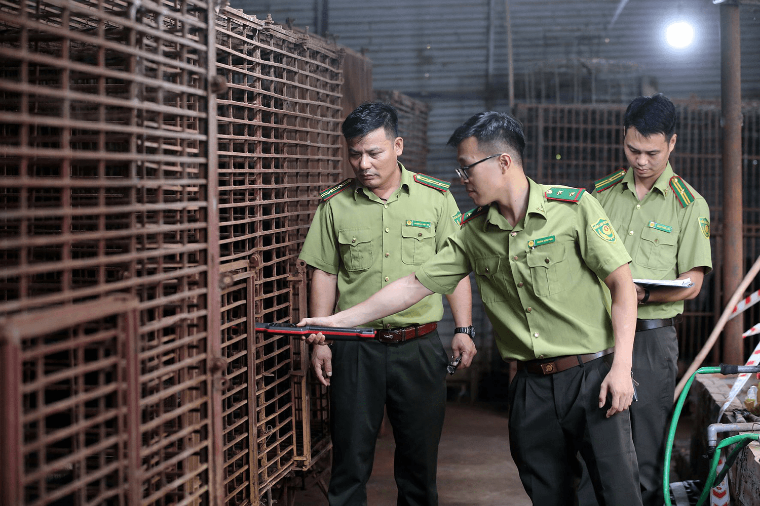 Tổ chức Động vật châu Á cứu hộ 7 cá thể gấu ngựa tại Hà Nội