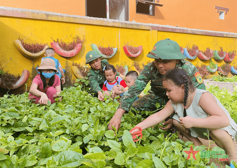 Vườn rau cho bé