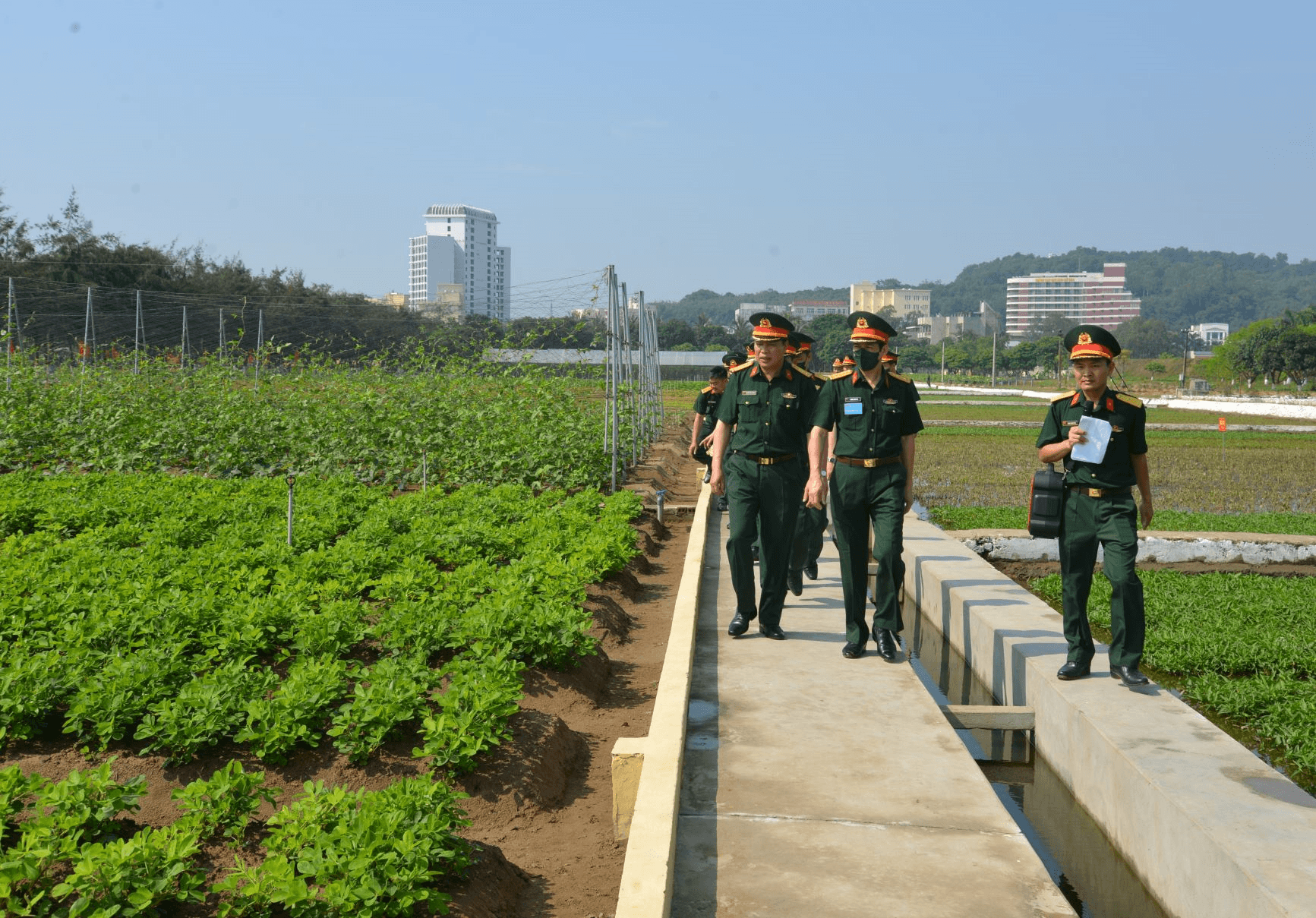 Nuôi quân giỏi trên vùng ven biển