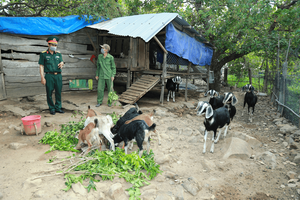 Bộ đội giúp dân thoát nghèo