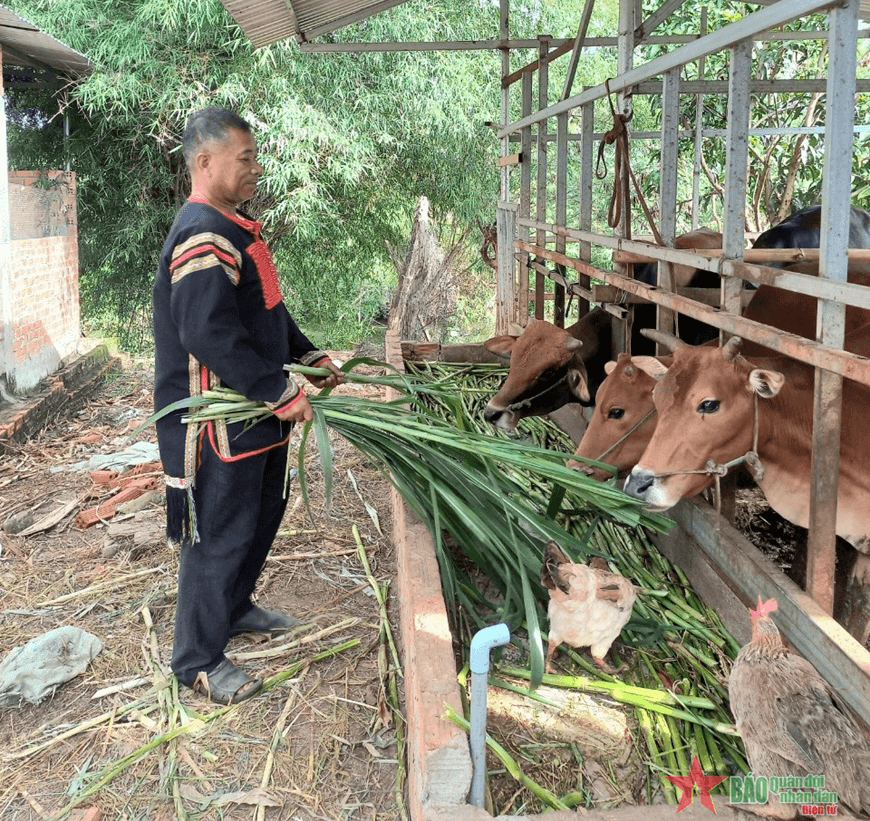 Kinh nghiệm vượt khó của buôn trưởng Y Noa Niê