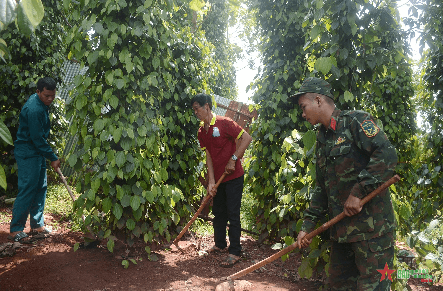 Giải bài toán giảm nghèo ở Ja Lú