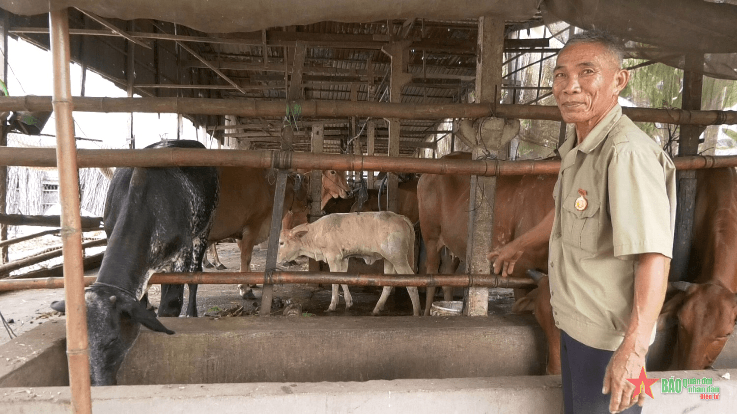 Thương binh vượt khó phát triển kinh tế gia đình