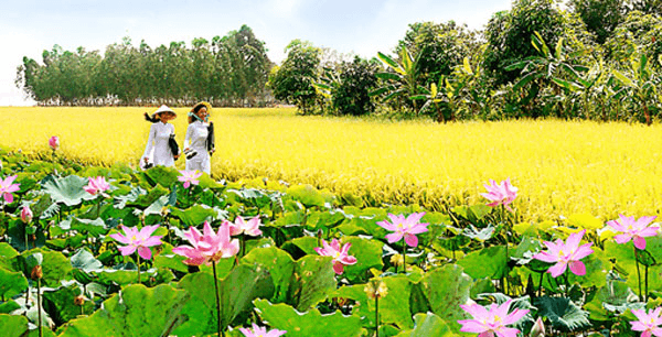 Khói hương thương nhớ...