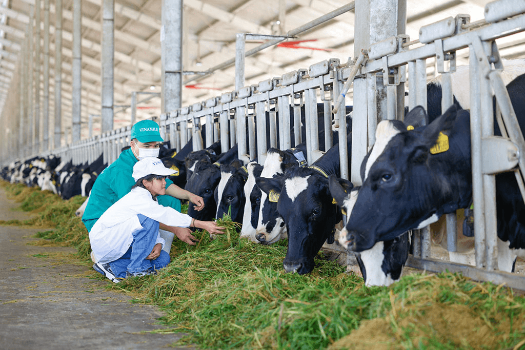 Vinamilk và Quỹ sữa Vươn cao Việt Nam tổ chức nhiều hoạt động đồng hành nhân dịp 15 năm thành lập
