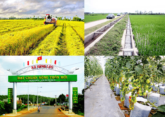 Điều kiện công nhận địa phương đạt chuẩn nông thôn mới
