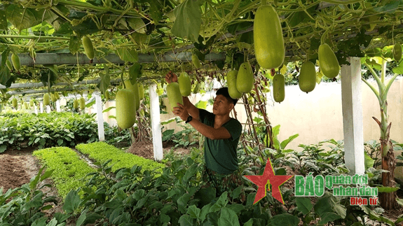 Tham mưu phân bổ ngân sách bảo đảm hậu cần đúng hướng, có trọng tâm, trọng điểm