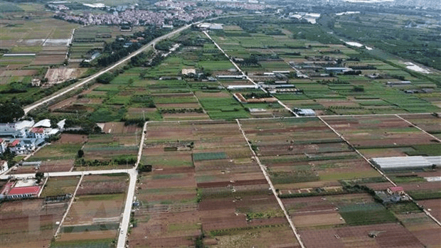 Mở rộng hạn mức nhận chuyển nhượng quyền sử dụng đất nông nghiệp