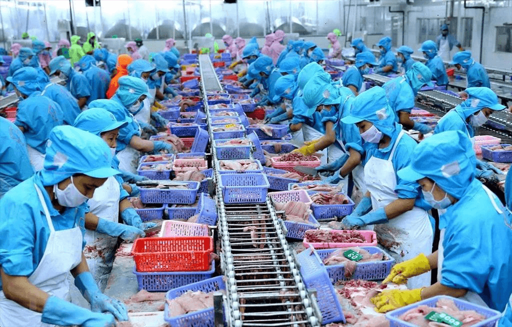 Quy định mới về động vật, sản phẩm động vật thủy sản miễn kiểm dịch