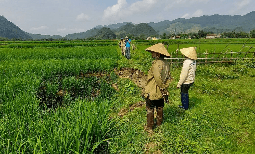 Mong sớm tìm ra nguyên nhân sụt giảm mực nước ngầm