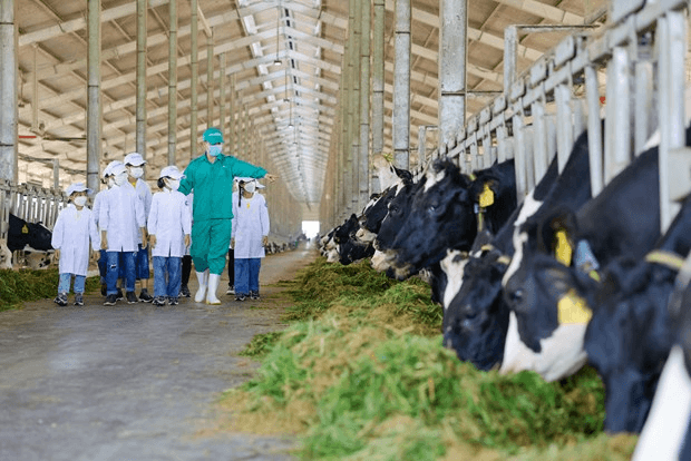 Vinamilk nhận giải phát triển bền vững