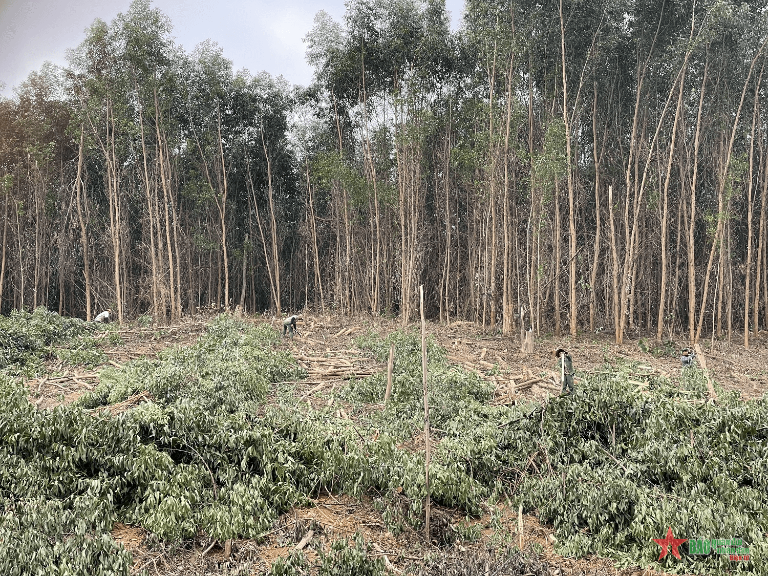 Hỗ trợ đồng bào dân tộc thiểu số ổn định cuộc sống