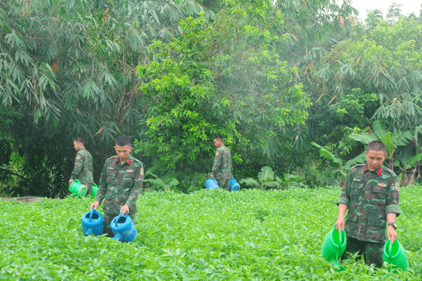 “Thực túc binh cường” ở Trung đoàn 82