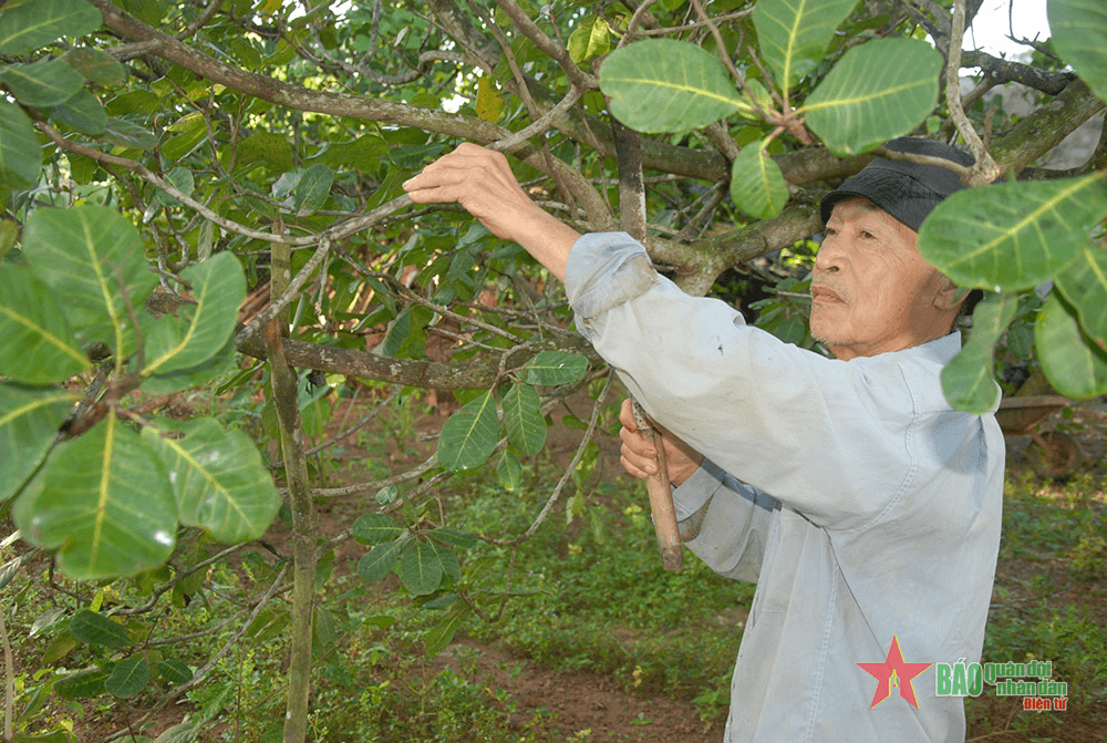 Kiên cường ý chí vươn lên