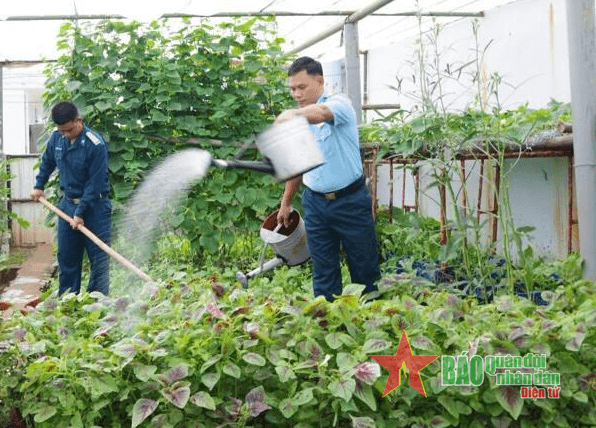 Bộ đội Trạm ra-đa 11 tăng gia giỏi