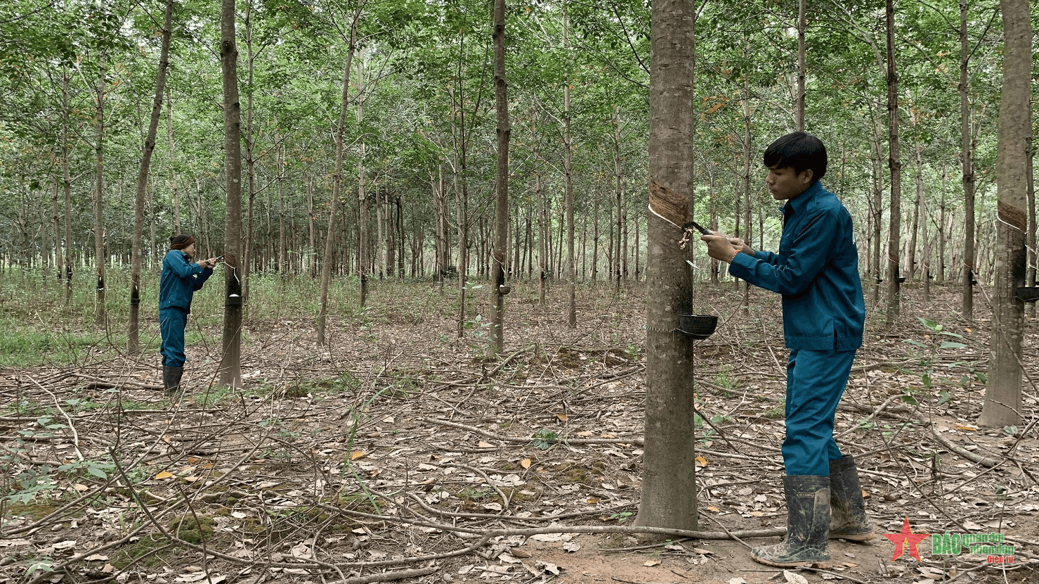 Giúp bạn Lào phát triển kinh tế vùng biên