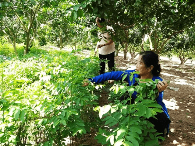 Đáp ứng ngày càng tốt hơn nhu cầu của các đối tượng chính sách