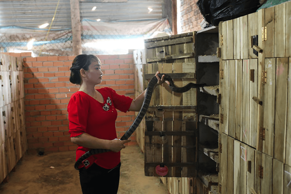 Bịt kẽ hở, ngăn “rửa” động vật hoang dã