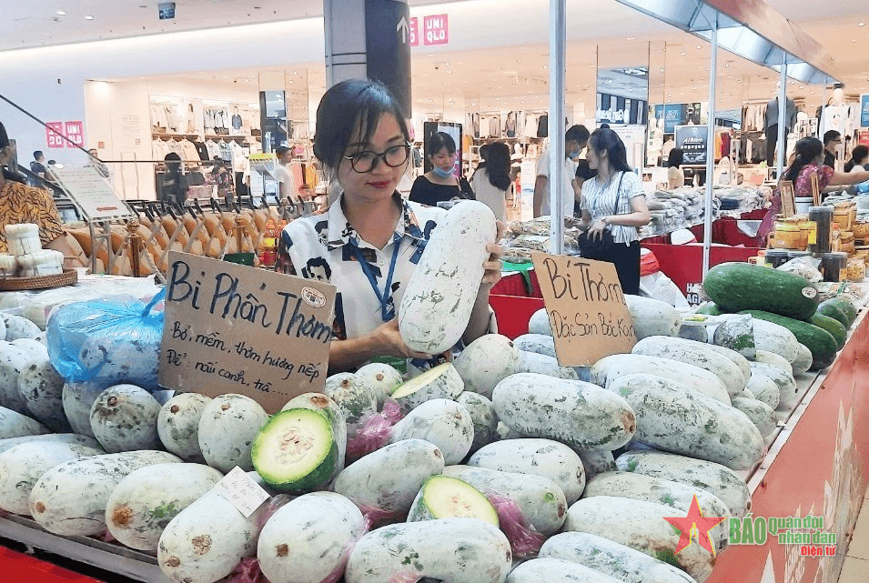 Hiệu quả kinh tế từ bí xanh Ba Bể