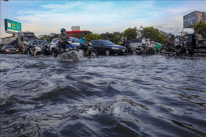 Chủ động ứng phó lũ kết hợp triều cường, sạt lở trên sông Cửu Long