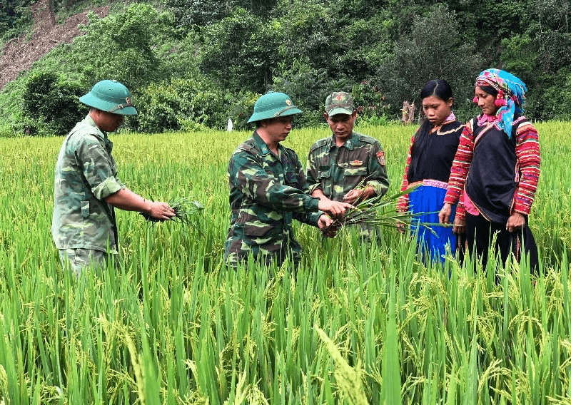 Bài 2: Quả ngọt từ những nỗ lực không mệt mỏi