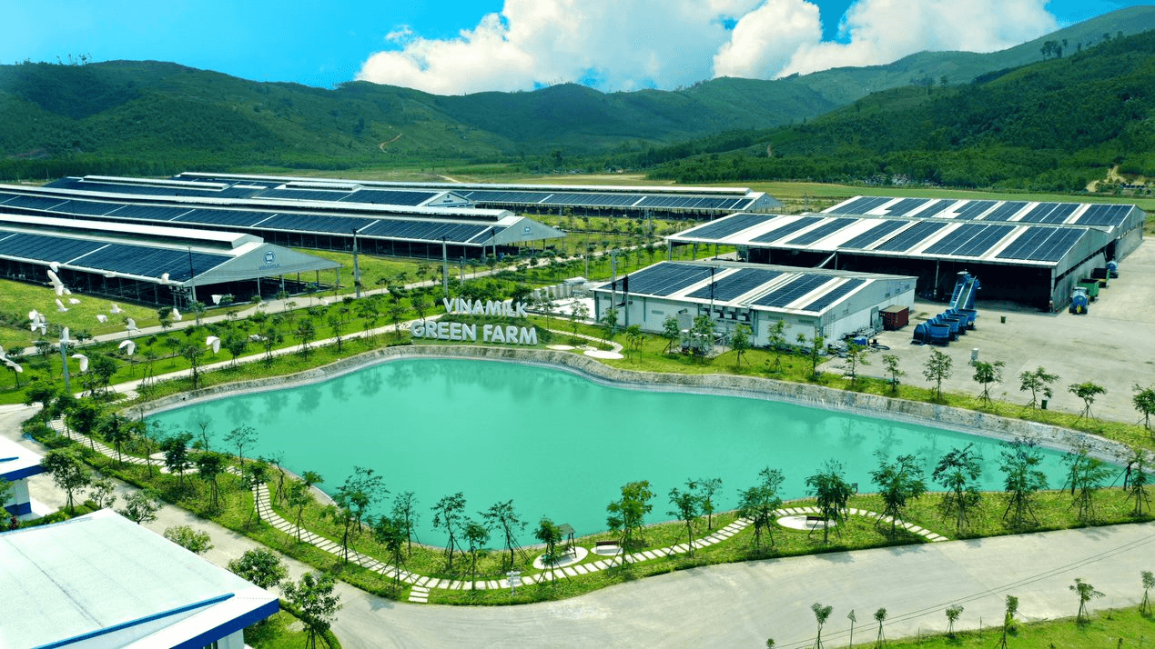 Vinamilk doanh thu quý 3-2022 ổn định, dòng tiền từ hoạt động kinh doanh cải thiện