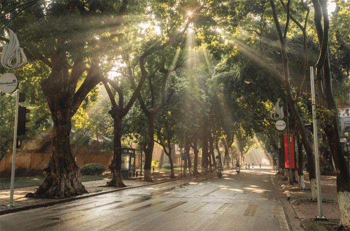 “Nắng mới”, thi phẩm hay về người mẹ