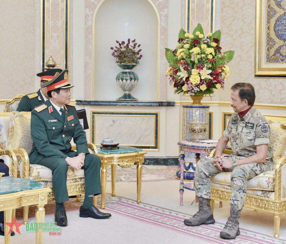 Thượng tướng Nguyễn Tân Cương chào xã giao Quốc vương Brunei