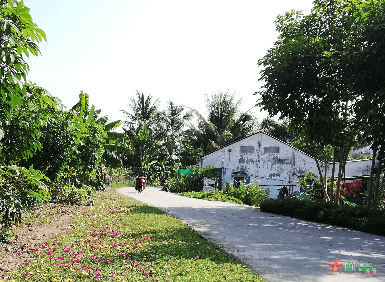 Nhiều chính sách hỗ trợ đồng bào Khmer ở Kiên Giang