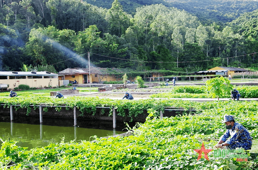 Nuôi quân giỏi, quản lý quân nhu tốt ở Lữ đoàn 161
