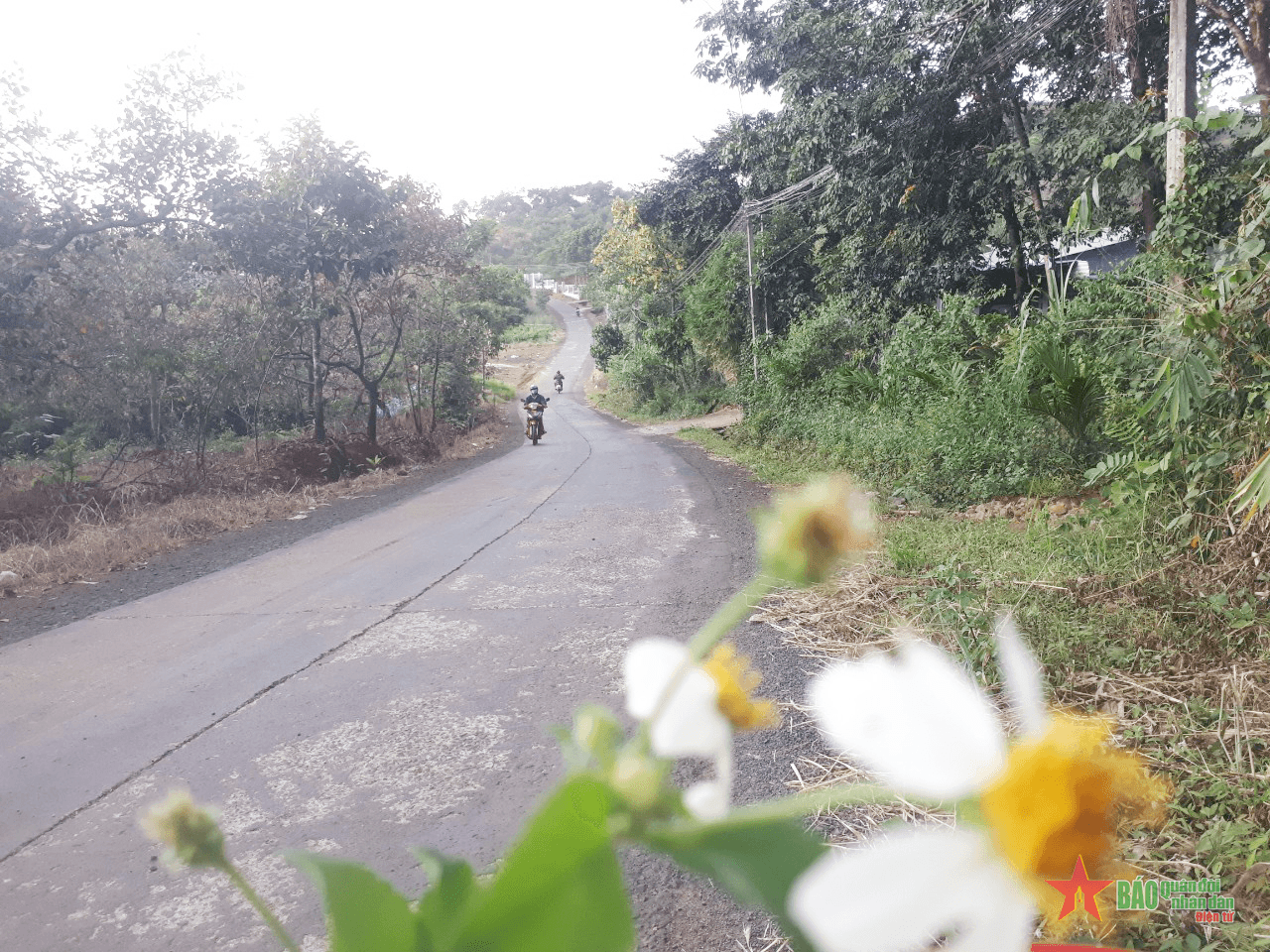 Đường về bản thắm tình quân dân