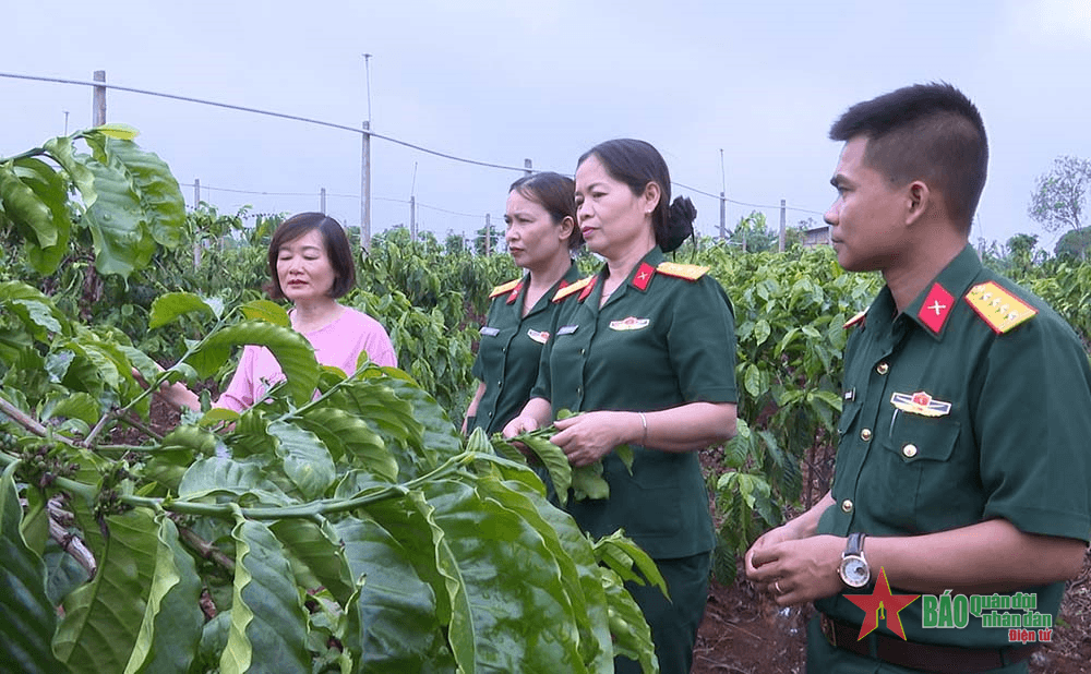 Vẹn cả hai vai