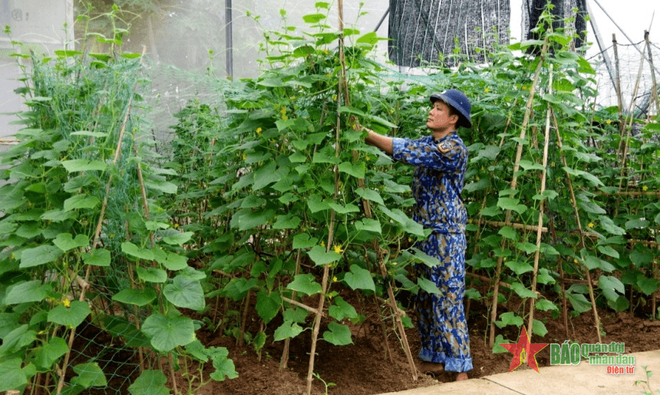 Thực túc binh cường ở Hải đội 202, Vùng Cảnh sát biển 2